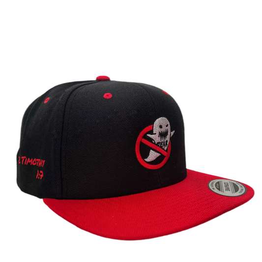 Fearbusters Snapback