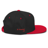 Fearbusters Snapback